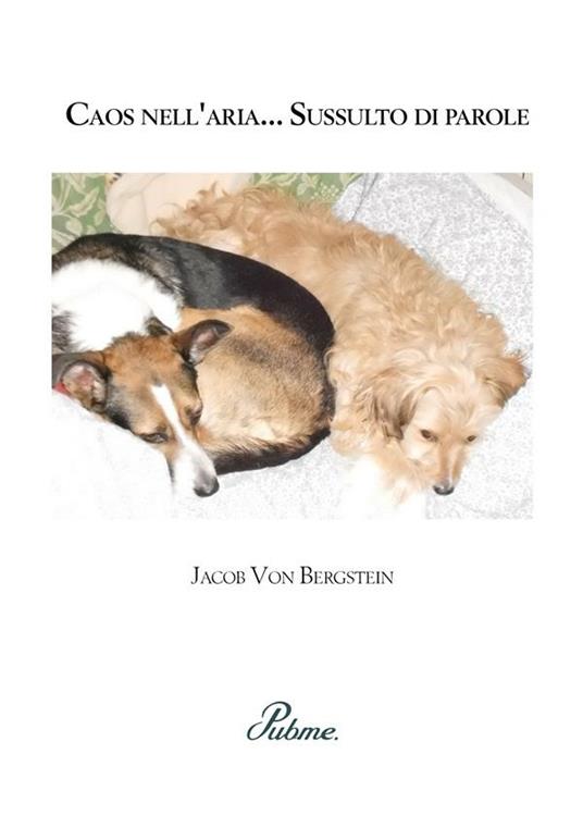 Caos nell'aria... Sussulto di parole - Jacob Von Bergstein - ebook