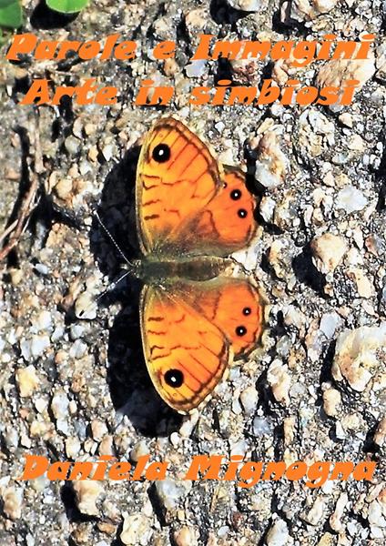 Parole e Immagini. Arte in simbiosi - Daniela Mignogna - copertina