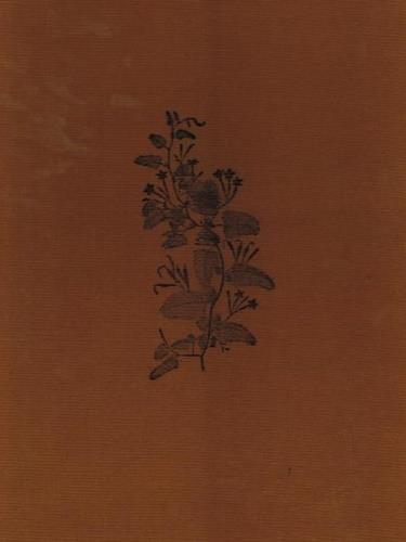 Lo specchio del principe. Mecenatismi paralleli: i Medici e i Moghul - copertina