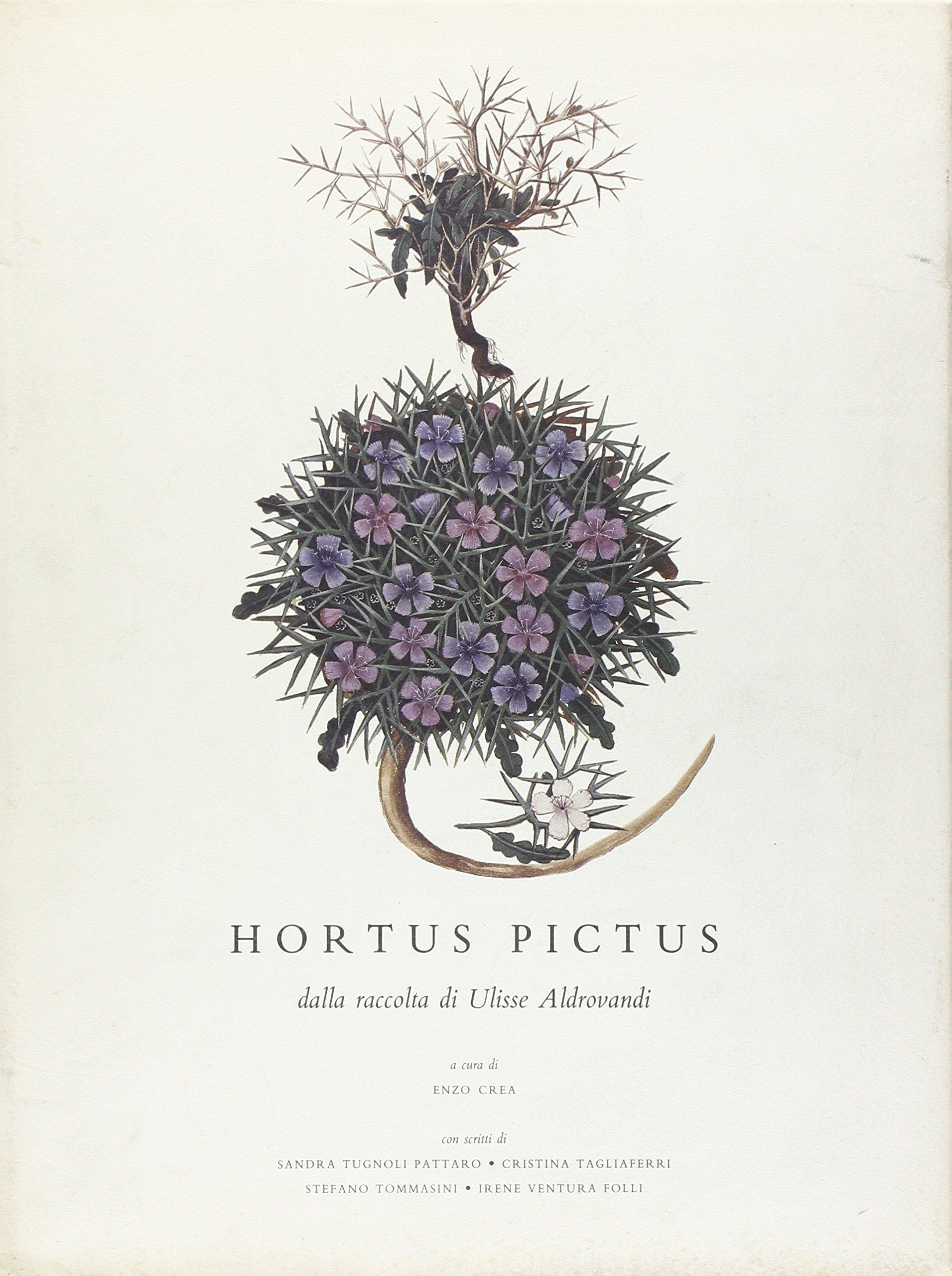 Libreria Serendipity