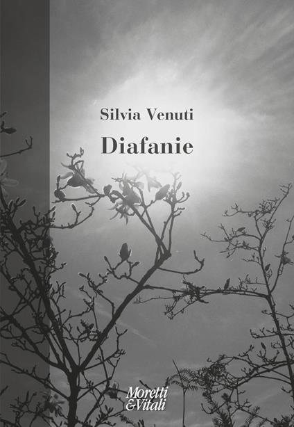 Diafanie - Silvia Venuti - copertina