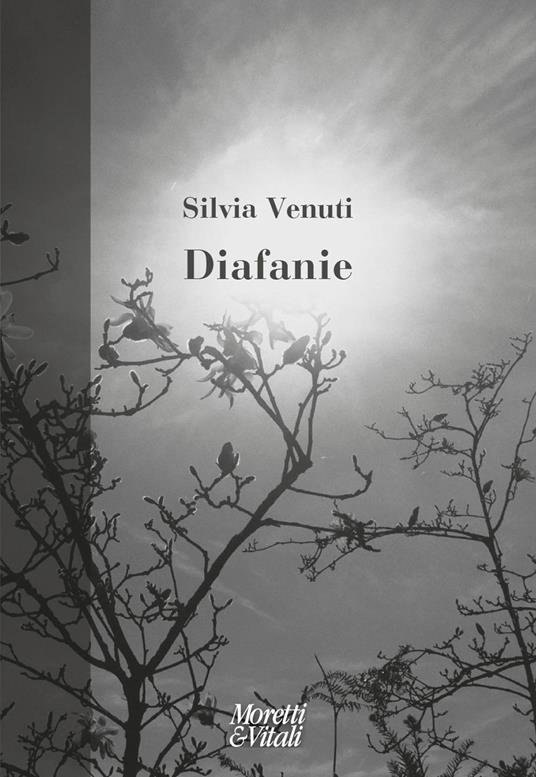 Diafanie - Silvia Venuti - copertina