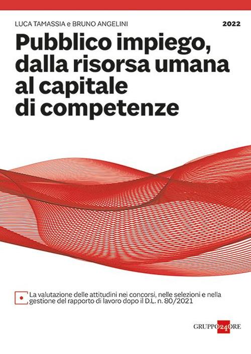 Pubblico impiego - Luca Tamassia - copertina