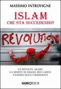 Islam. Che sta succedendo? Le rivolte arabe. La morte di Osama Bin Laden. L'esodo degli immigrati - Massimo Introvigne - copertina