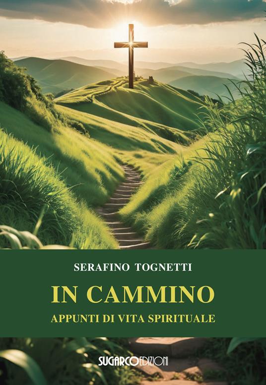 In cammino. Appunti di vita spirituale - Serafino Tognetti - copertina