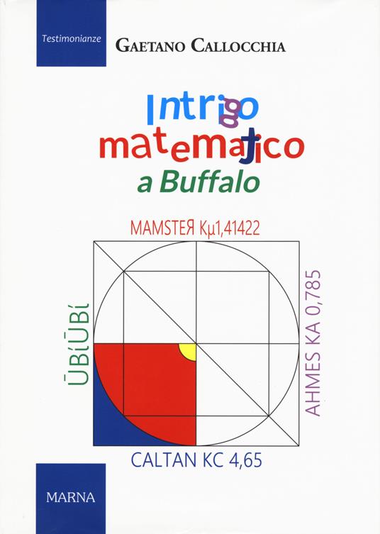 Intrigo matematico a Buffalo - Gaetano Callocchia - copertina