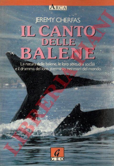 Libreria Piani