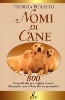 Libreria Bookweb