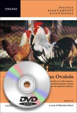 Razze rustiche e locali. La gallina ovaiola. Con DVD - Maurizio Arduin - copertina