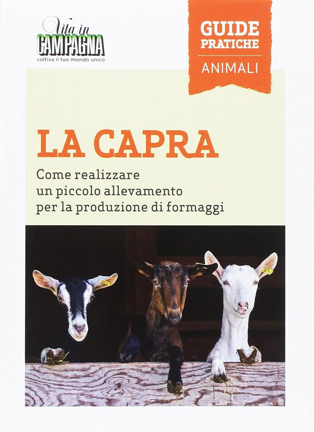 Emozioni Media Store