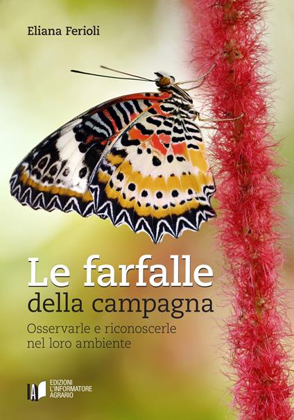 Le farfalle della campagna. Osservarle e riconoscerle nel loro ambiente - Eliana Ferioli - copertina