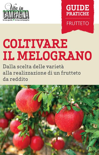 Coltivare il melograno. Dalla scelta delle varietà alla realizzazione di un frutteto da reddito - Ferdinando Cossio,Domenico Annicchiarico,Chiara Vacca - copertina