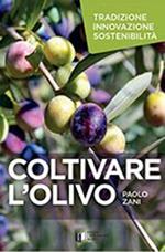Coltivare l'olivo. Tradizione innovazione sostenibilità