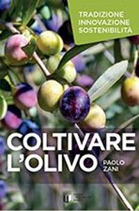 Coltivare l'olivo. Tradizione innovazione sostenibilità - Paolo Zani - copertina