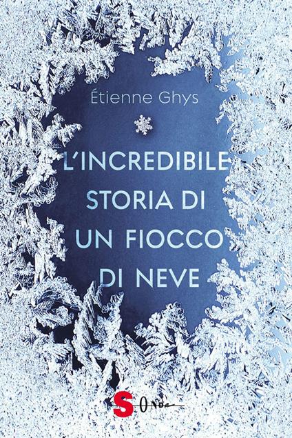 L'incredibile storia di un fiocco di neve - Étienne Ghys - ebook
