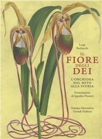 Il fiore degli dei. L'orchidea dal mito alla storia - Luigi Berliocchi - copertina