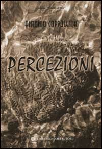 Libraccio