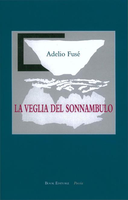 La veglia del sonnambulo - Adelio Fusé - copertina