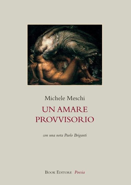 Un amare provvisorio - Michele Meschi - copertina