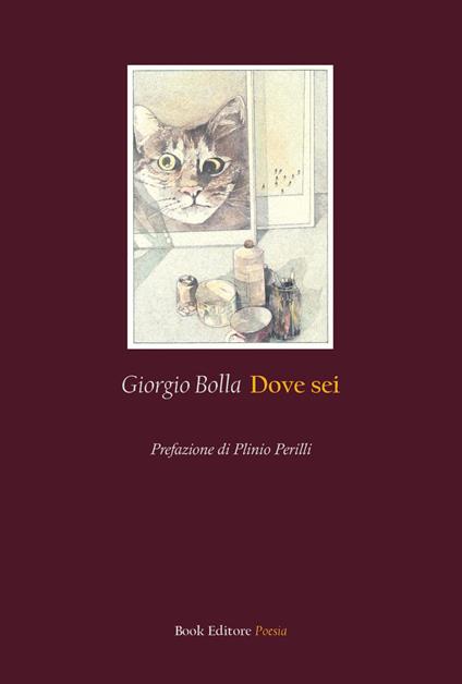 Dove sei - Giorgio Bolla - copertina
