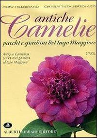 Antiche camelie del Lago Maggiore. Ediz. bilingue. Vol. 2 - Piero Hillebrand,Gianbattista Bertolazzi - copertina