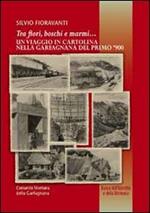 Tra i fiori boschi e marmi. Un viaggio in cartolina nella Garfagnana del primo '900. Ediz. illustrata