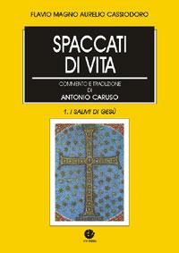 Spaccati di storia. Opere - Flavio Magno Aurelio Cassiodoro - copertina