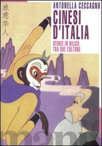 Cinesi d'Italia. Storie in bilico tra due culture - Antonella Ceccagno,Huang Heini - copertina