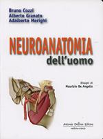 Neuroanatomia dell'uomo