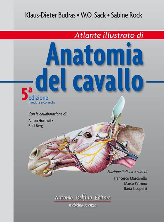 Atlante illustrato di anatomia del cavallo. Ediz. illustrata - Dieter Budras,W. O. Sack,Sabine Rock - copertina