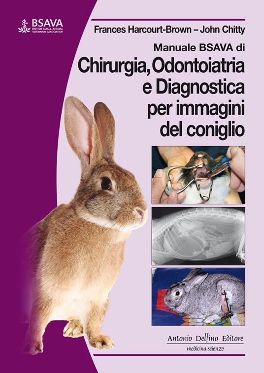 Manuale BSAVA di chirurgia, odontoiatria e diagnostica per immagini del coniglio - Frances Harcourt-Brown,John Chitty - copertina