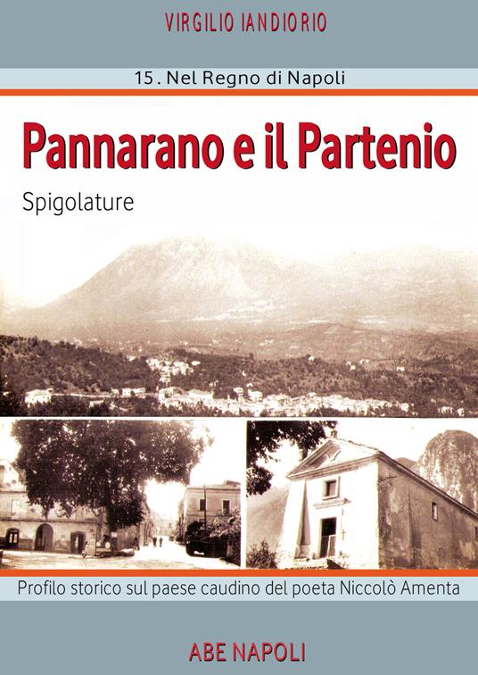 Pannarano e il Partenio: spigolature nel paese di Amenta che Caracciolo il galante teneva in signoria nel regno di Napoli - Virgilio Iandiorio - copertina