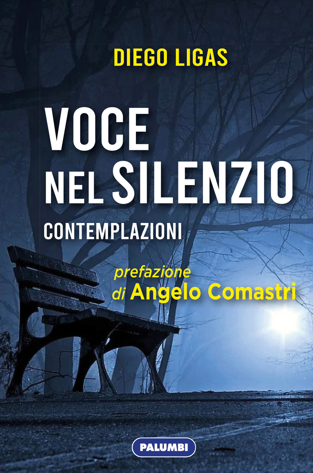 Libreria La Cometa