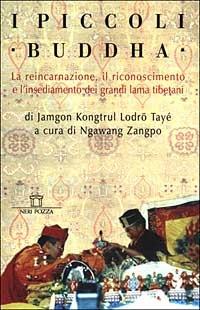 I piccoli Buddha. Il riconoscimento dei maestri reincarnati del Tibet e dell'Himalaya - Tayé Jamgon Kongtrul Lodrö - copertina