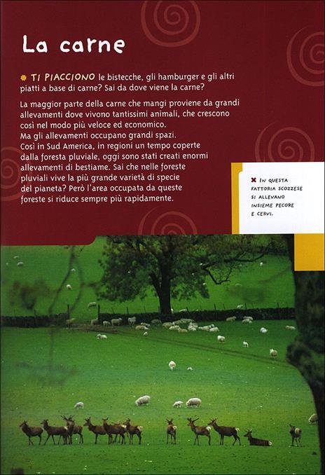 Alimenti. Con gadget - Gill Standring - 6