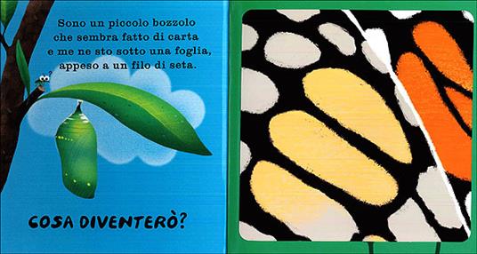 Cosa diventerò? Ediz. illustrata - Nicola Davies,Marc Boutavant - 3