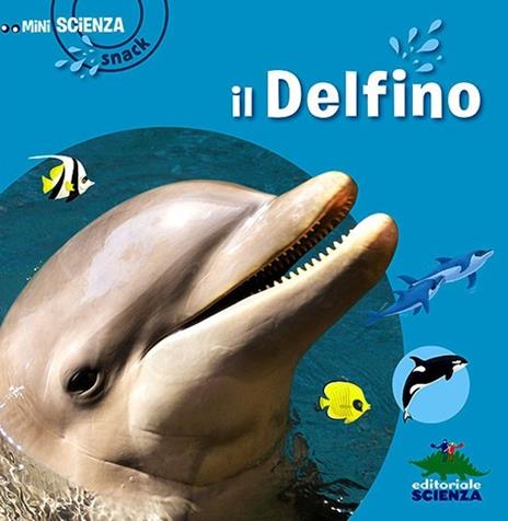 Il delfino - Delphine Grinberg - 2