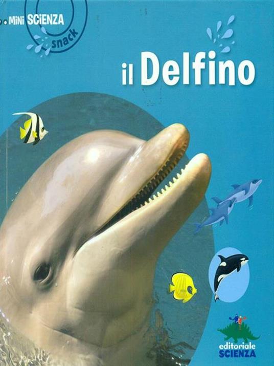 Il delfino - Delphine Grinberg - copertina