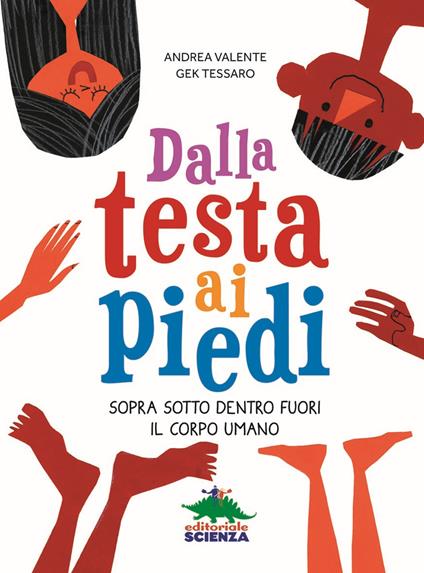 Dalla testa ai piedi. Sopra sotto dentro fuori il corpo umano - Andrea Valente - copertina