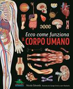 Ecco come funziona il corpo umano