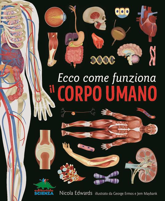 Ecco come funziona il corpo umano - Nicola Edwards - copertina