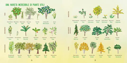 Con le mani nella terra alla scoperta del mondo vegetale. Ediz. illustrata - Emanuela Bussolati - 7