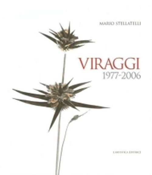 Viraggi 1997-2006 - Mario Stellatelli - copertina