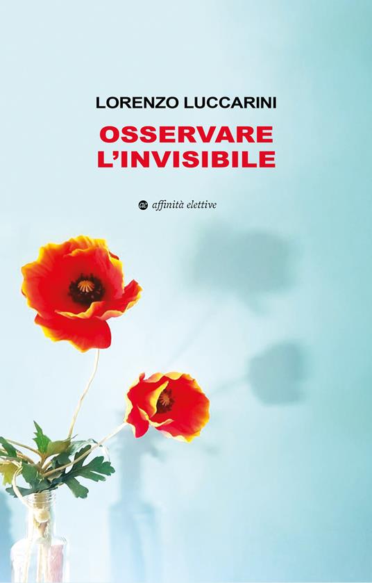 Osservare l’invisibile - Lorenzo Luccarini - copertina