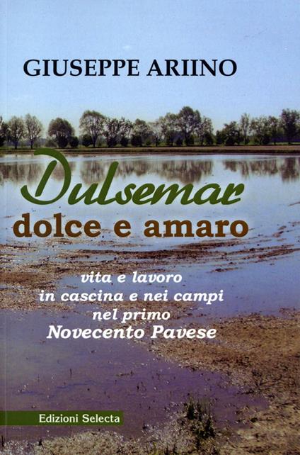 Dulsemar. Dolce e amaro - Giuseppe Ariino - copertina