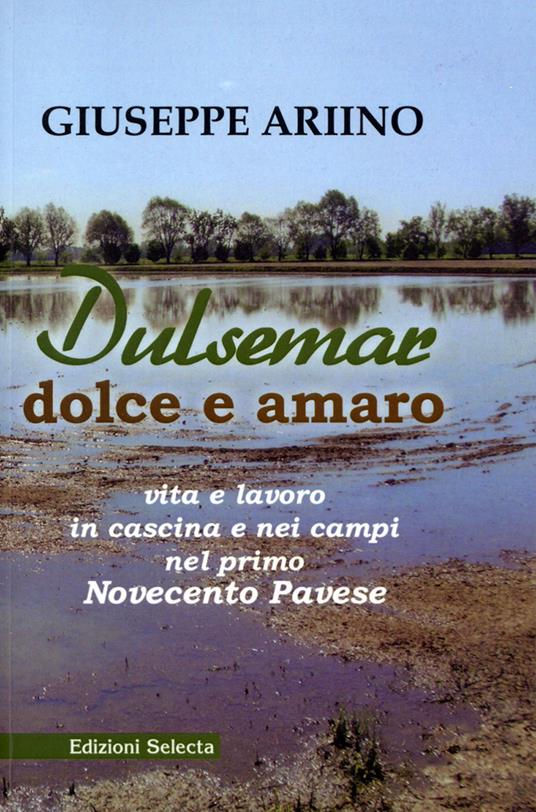 Dulsemar. Dolce e amaro - Giuseppe Ariino - copertina