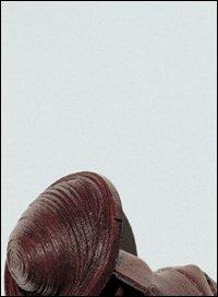 Daniela De Lorenzo. Ediz. italiana e inglese - copertina