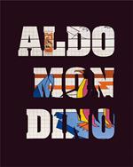 Aldo Mondino. Quadrettature monocromi, Casorati, Onde, 1963-64. Catalogo della mostra (Firenze, 24 febbraio-14 aprile 2018). Ediz. italiana e inglese