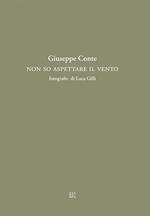 Non so aspettare il vento
