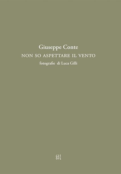 Non so aspettare il vento - Giuseppe Conte - copertina